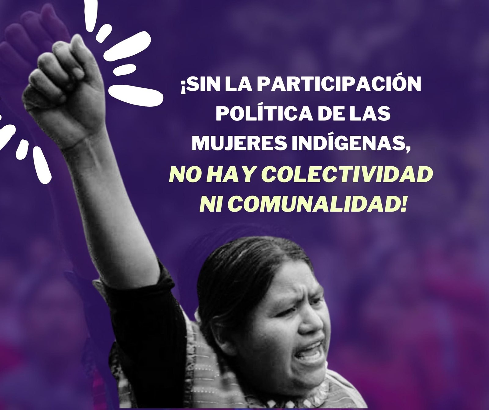 ¿Esto es su “Primavera oaxaqueña?, recriminan activistas a diputadas por reforma electoral