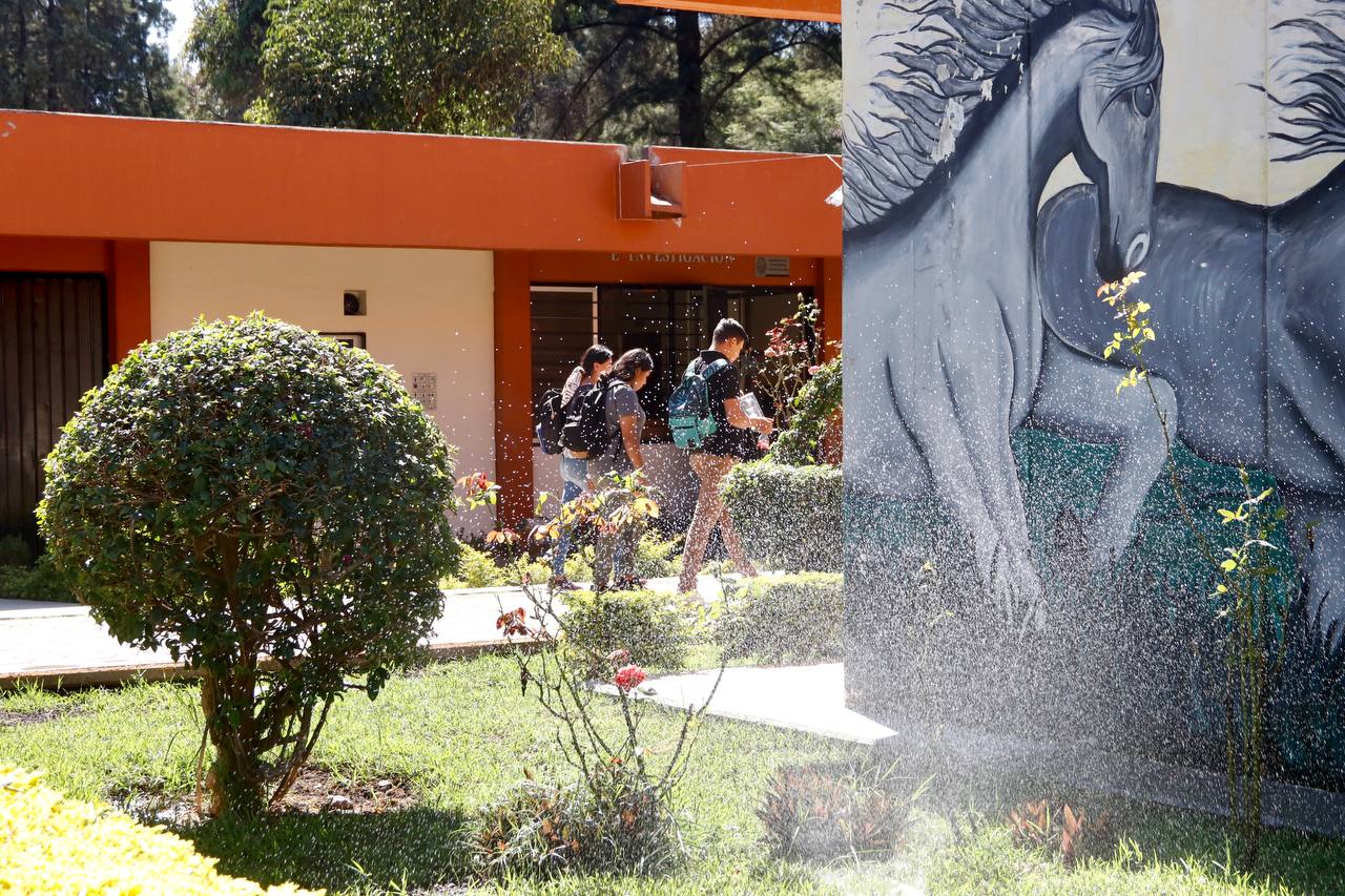 UABJO reconoce a docentes con amplia trayectoria