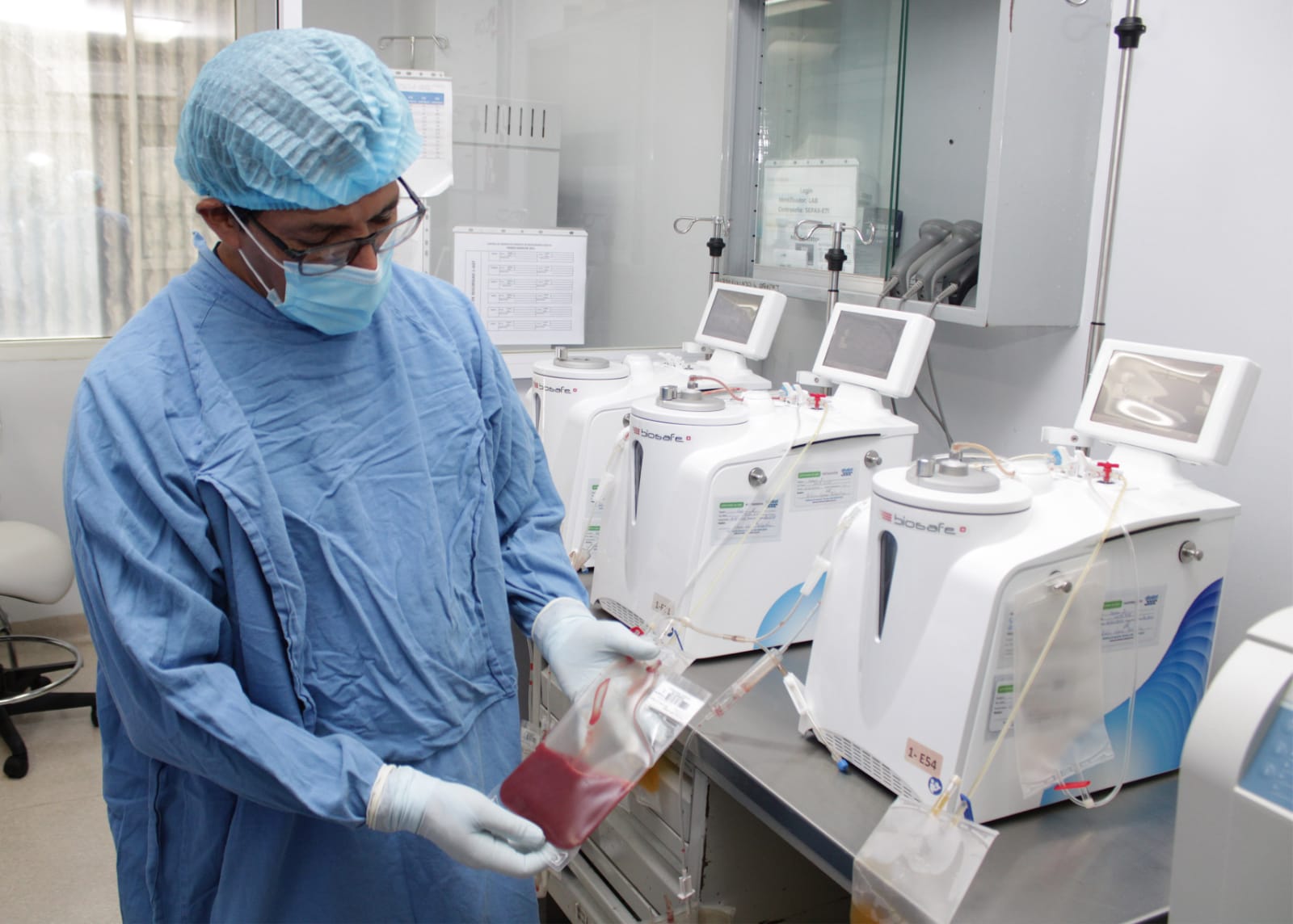 Con Banco de células de cordón umbilical, IMSS ha realizado trasplante de médula ósea a más de 150 menores