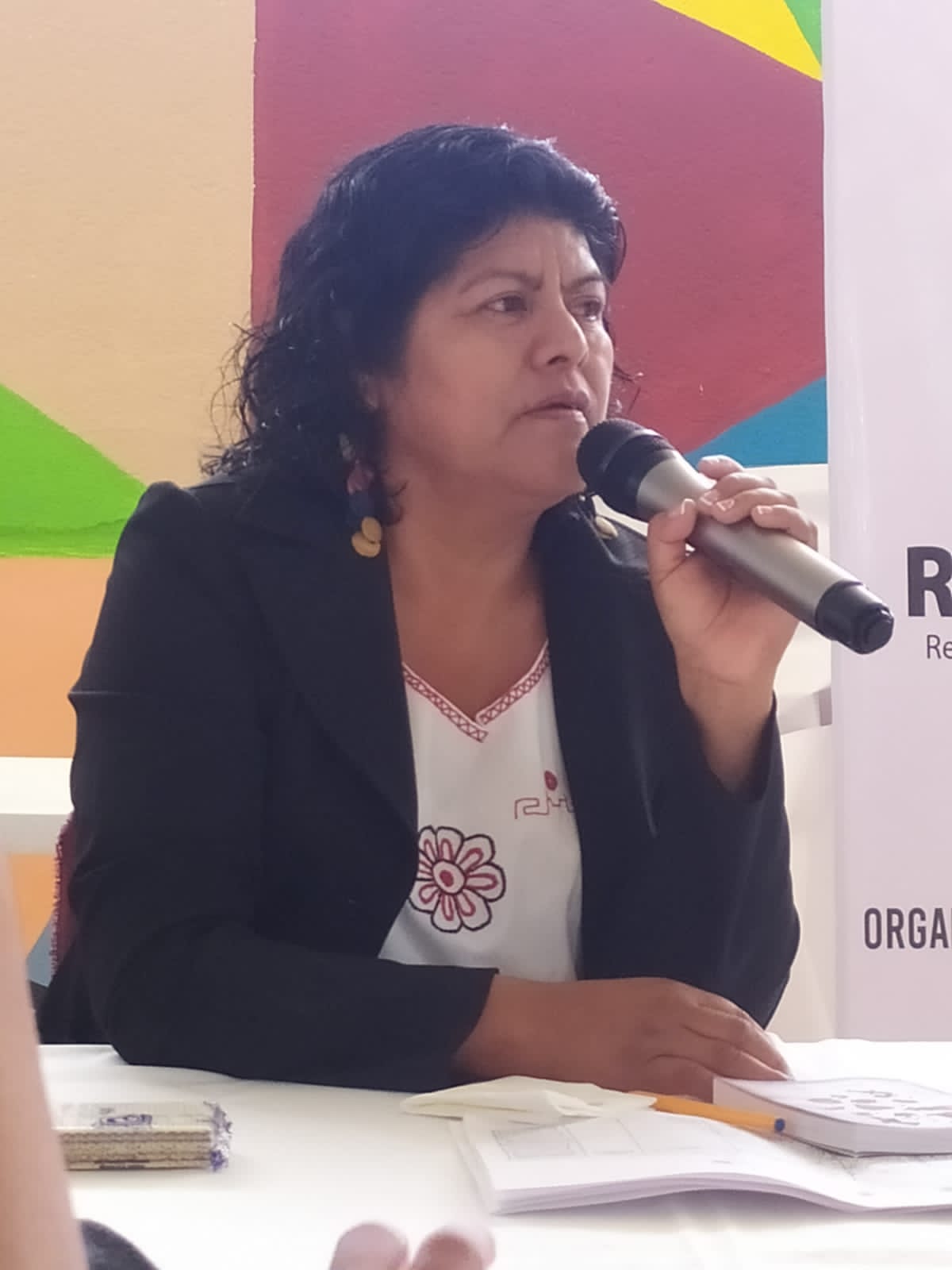 Patricia Silva, mujer indígena de la Mixteca, acudirá a foro internacional de la ONU en EEUU