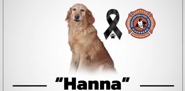 Hanna, la perrita de Protección Civil que ayudó a niños y niñas autistas