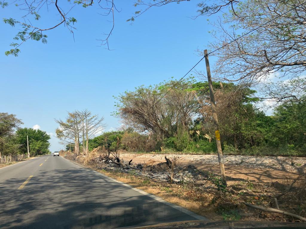 Alertan activistas comunitarios de opacidad y daño ambiental en rehabilitación de línea de tren K del Corredor Interoceánico