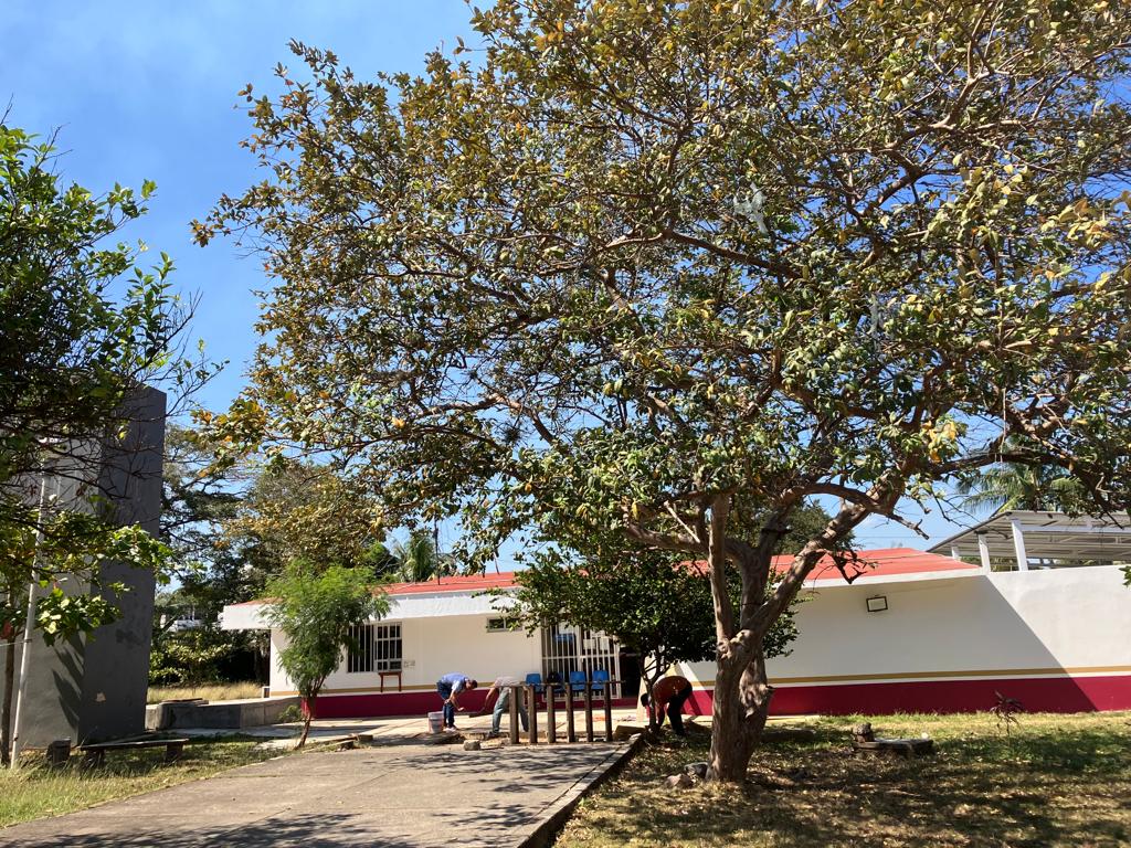 Fraude y falsificación de documentos en la propiedad de un terreno del ISSSTE en Oaxaca