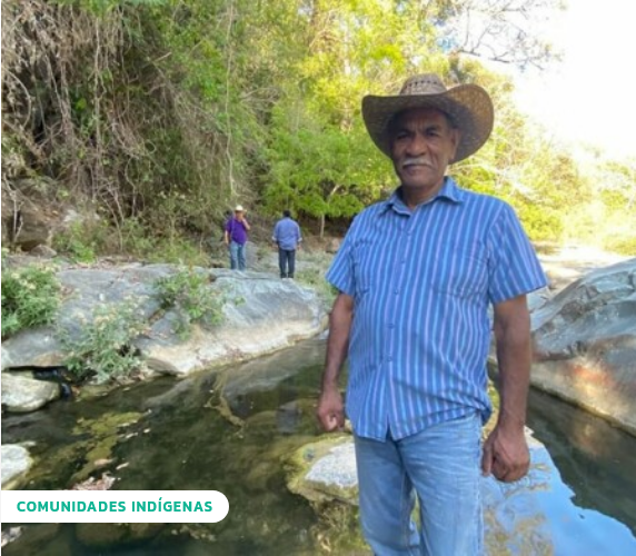 Asesinan a Eustacio Alcalá, defensor del medio ambiente en Michoacán
