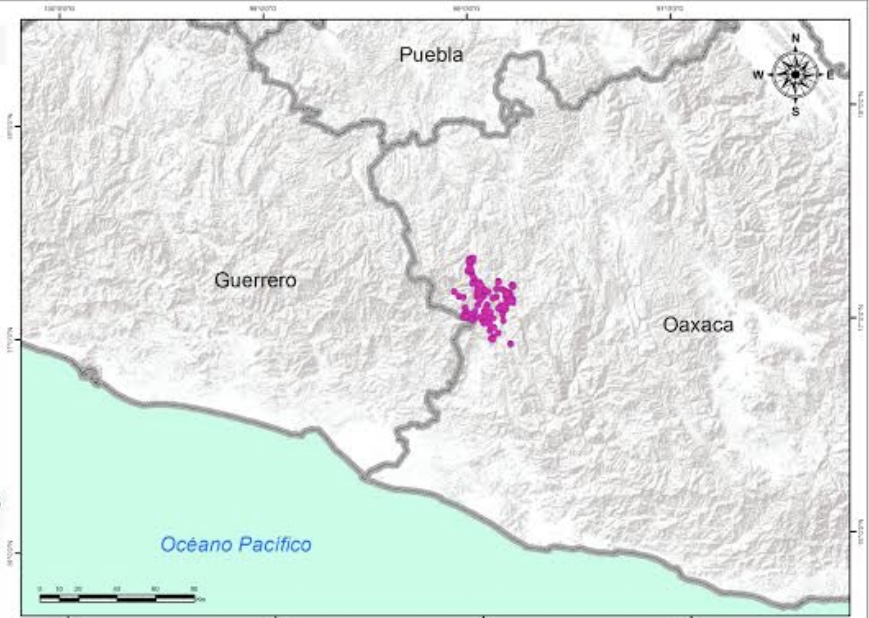 Matan a una monja y hieren a otra en emboscada en la región triqui