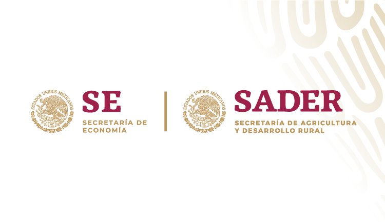 Secretaría de Economía declara improcedente una nueva expedición de las concesiones mineras en territorio masewal