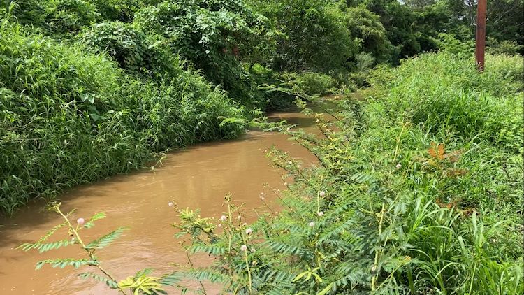 Impulsan tequio comunitario para proteger el río de Unión Hidalgo, Oaxaca