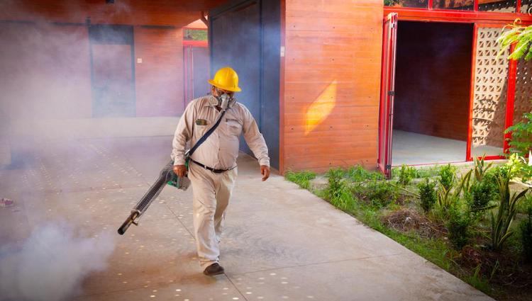 Intensa jornada de fumigación y eliminación de criaderos, implementan Ayuntamiento y Jurisdicción Sanitaria
