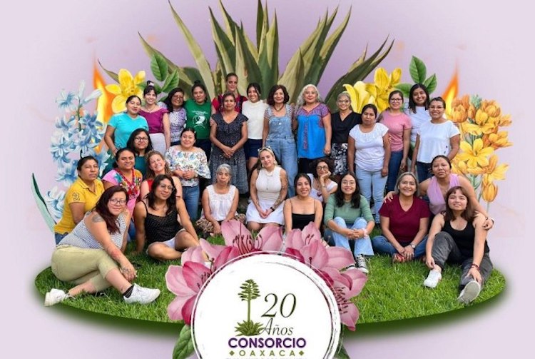 Consorcio Oaxaca: Veinte años entre aguas mansas y turbulentas