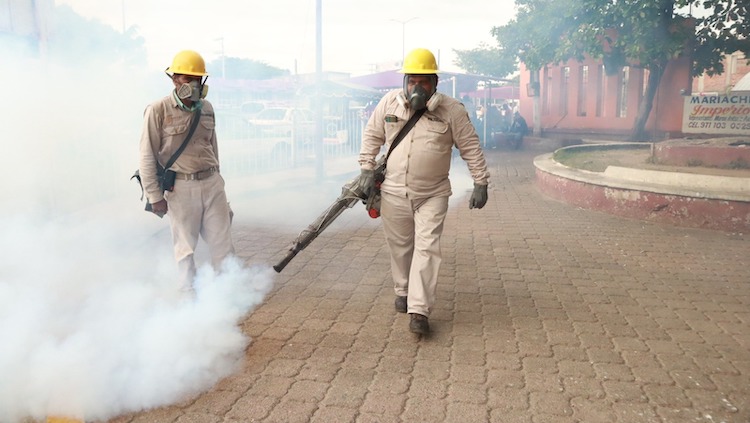 Previenen Ayuntamiento y Jurisdicción Sanitaria Enfermedades Por Vectores en Plaza Garibaldi y zona aledaña
