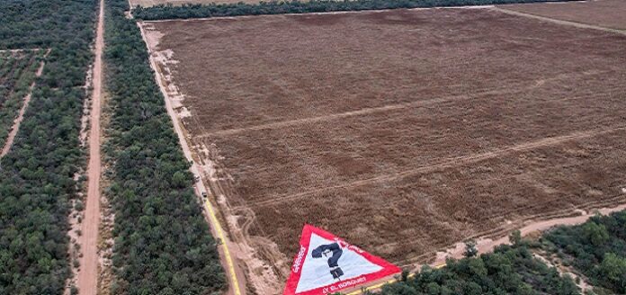 Greenpeace