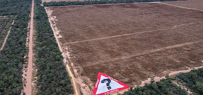 Greenpeace