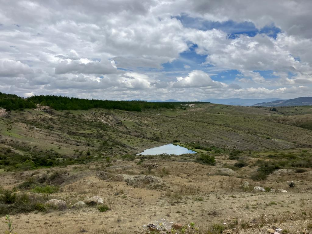 Refugio