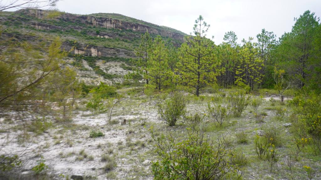 MIxteca