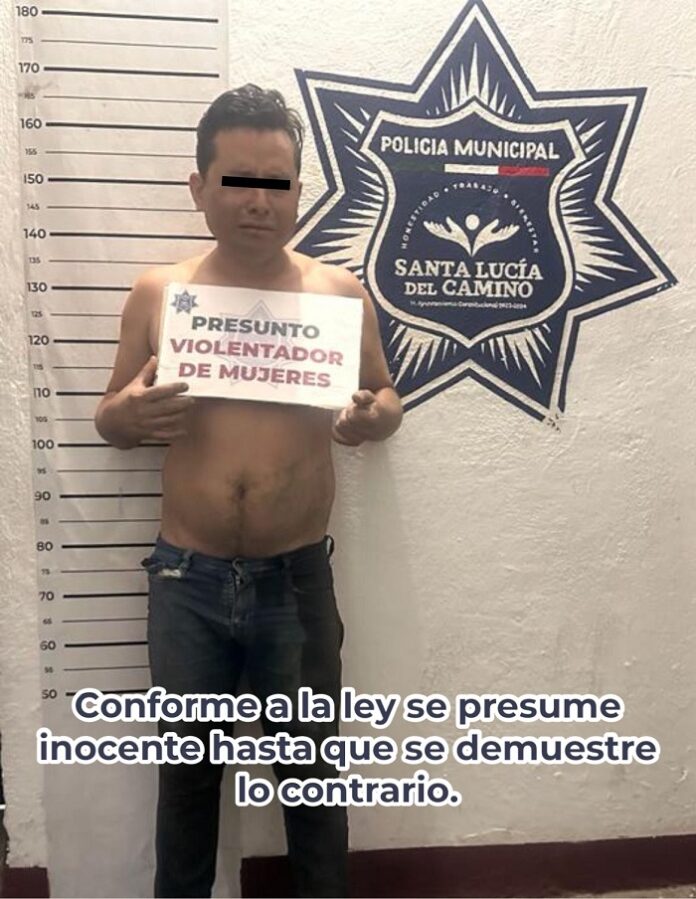 Detenido en Santa Lucía del Camino por Violencia familiar