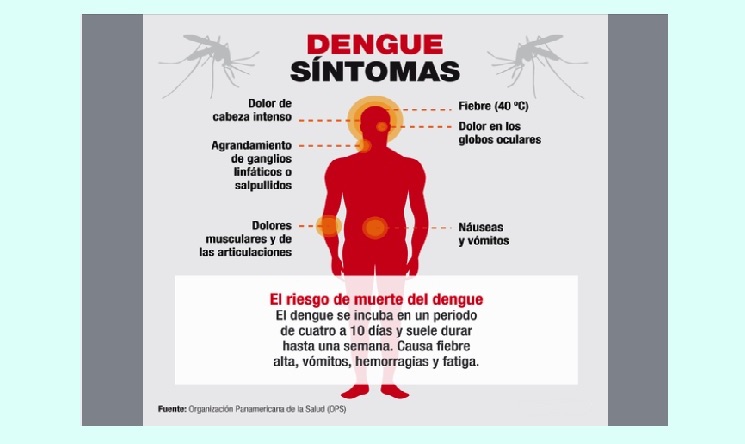 Oaxaca, primer lugar a nivel nacional al sumar seis muertes por dengue