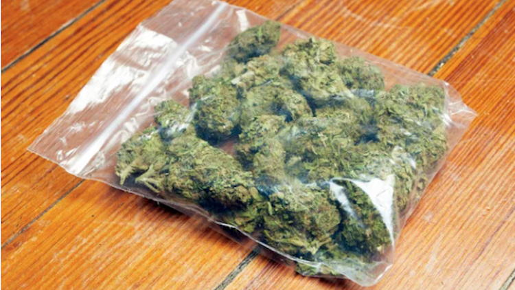 Fiscalía de Oaxaca realiza trabajos de inteligencia y detiene en flagrancia a presunto vendedor de droga en la capital