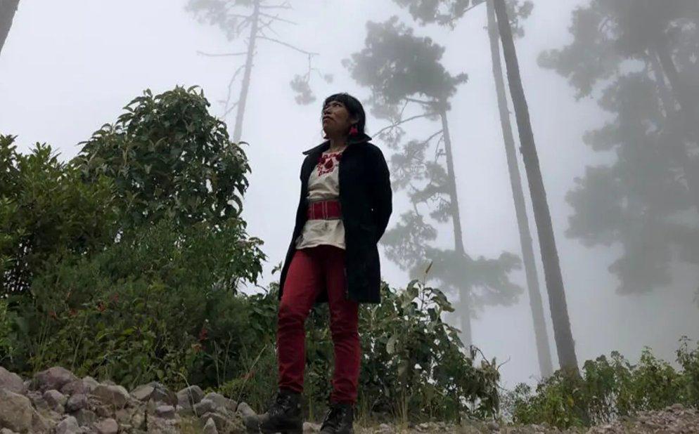 Más de 700 días sin la guardabosques Irma Galindo: “Desapareció teniendo protección del Mecanismo”