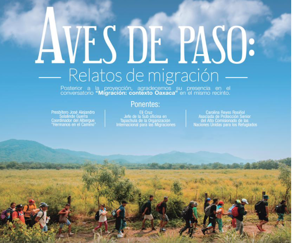 Exhorta Defensoría de Oaxaca a evitar la xenofobia contra migrantes