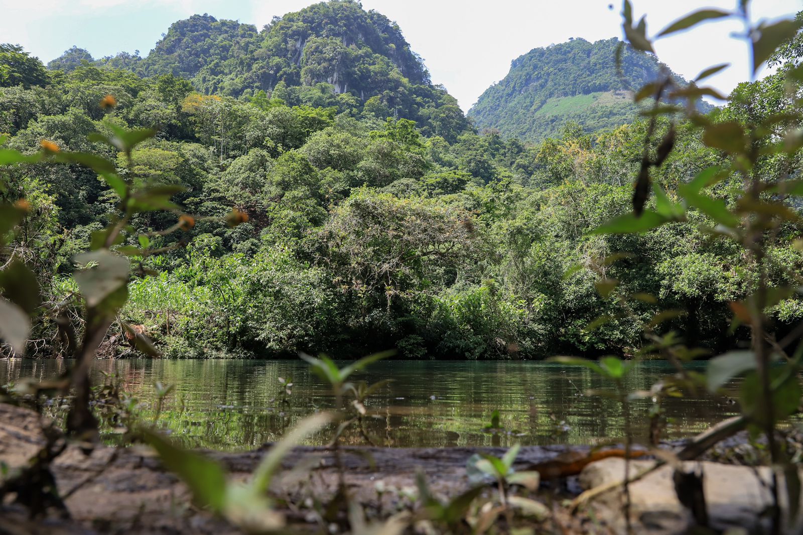 Uno de los ríos que se encuentran en la Sierra Negra, en Puebla. En esta región, la organización comunitaria detuvo la construcción de un proyecto hidroeléctrico que buscaba generar energía para la minera Autlán. Foto: Daniela Portillo