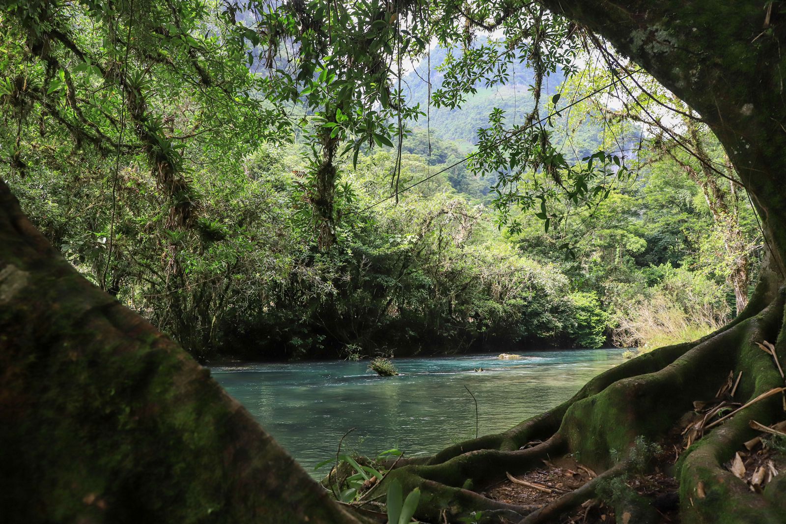 Paz es lo que prevalece en cualquier dirección en la que se contemple el río. Foto: Daniela Portillo.