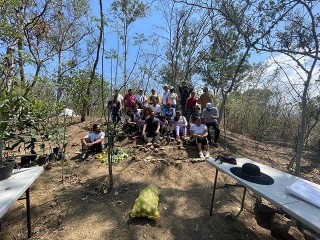 Alertan sobre daños al Cerro del Fortín para construir viviendas