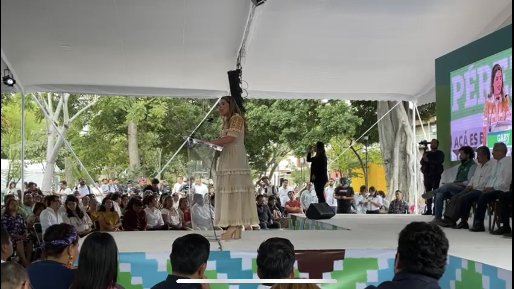 Arropada por el Gobernador, diputada del PVEM levanta la mano por la capital de Oaxaca