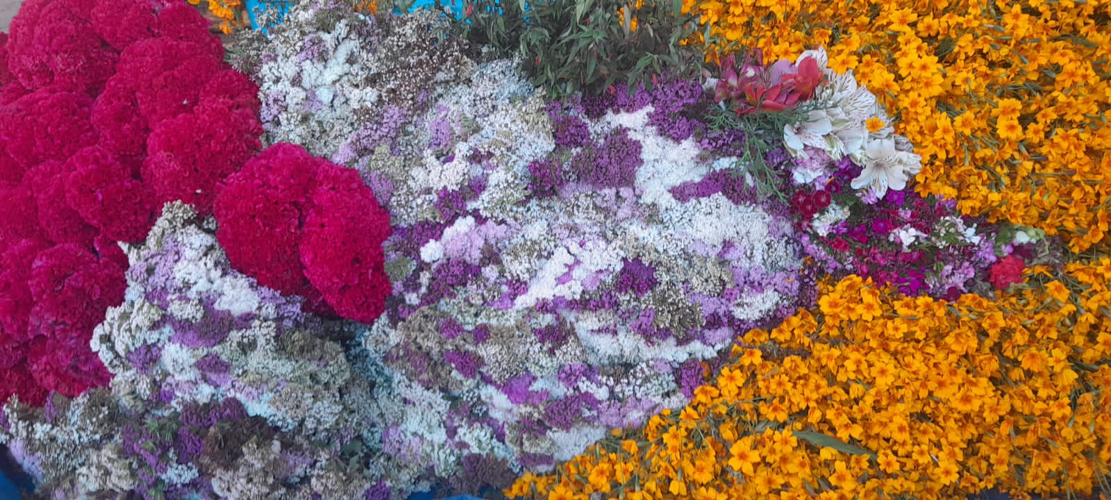 Abuela Concha, tu altar ya está listo. Nunca te has ido, pero hoy decidí honrar tu memoria