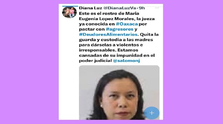 Denuncian y exhiben a jueza oaxaqueña María Eugenia López por violencia vicaria