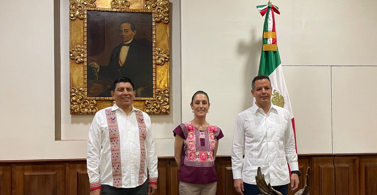 Morena es la letrina donde Murat va a esconder su vergüenza: Perla Woolrich