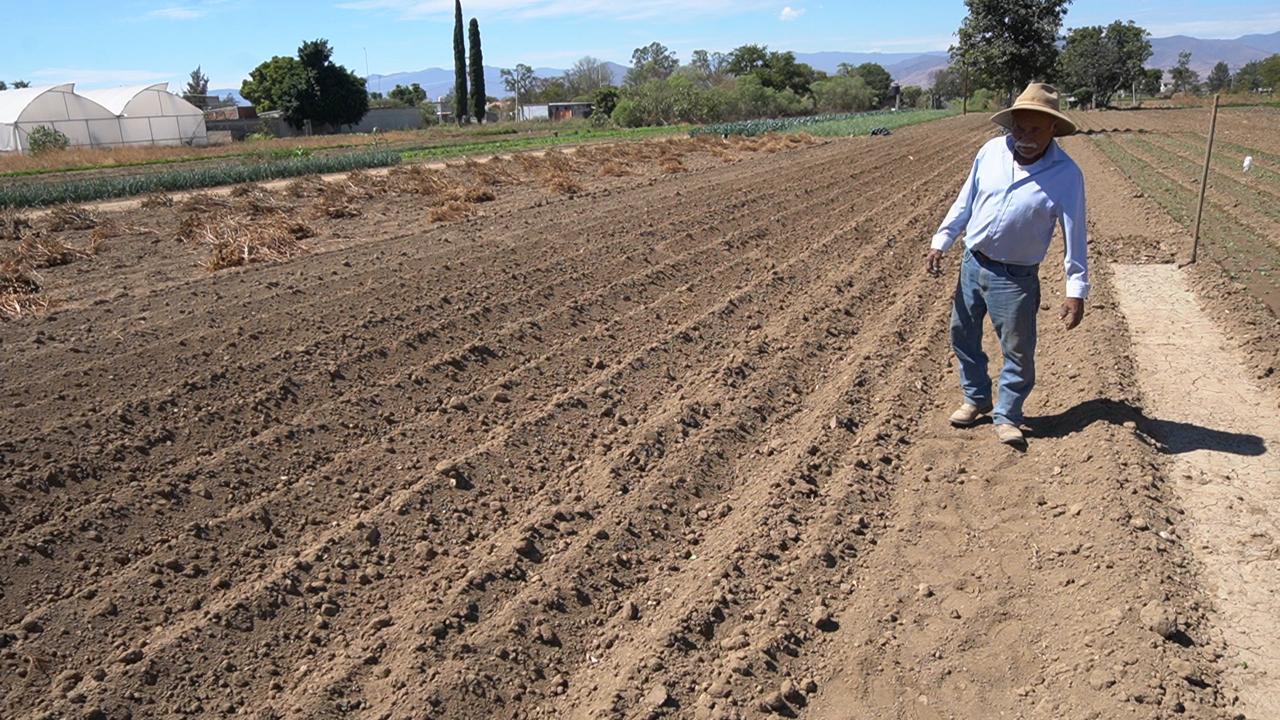 Campesinos de Oaxaca se resisten ante el cambio climático