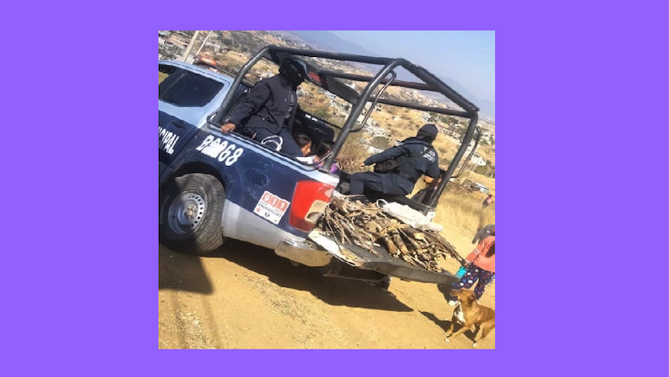 Por recolectar leña en zona federal, detienen a dos mujeres en San Pedro Ixtlahuaca, Oaxaca