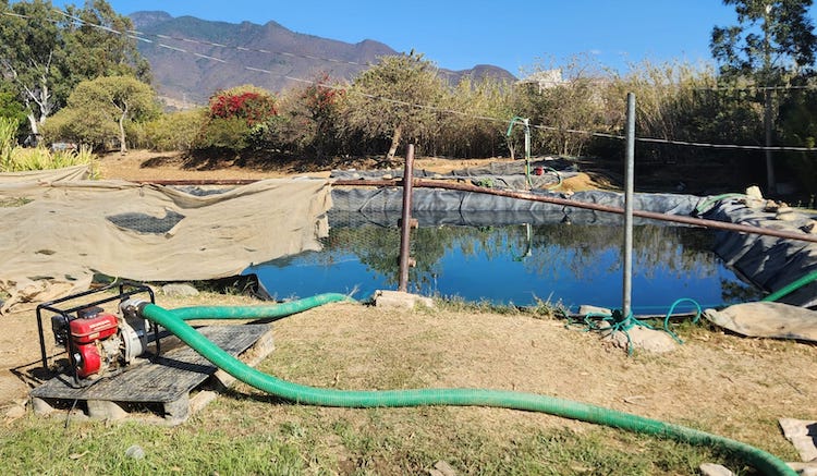 Fiscalía de Oaxaca detiene a “huachicoleros” de agua potable