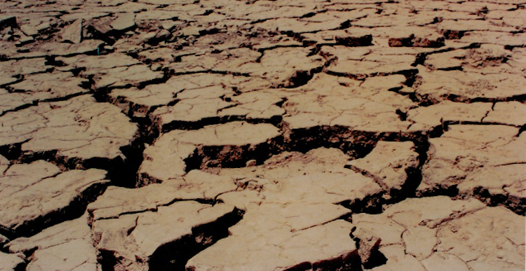 Sequía, “desastre natural”: advierte la ONU