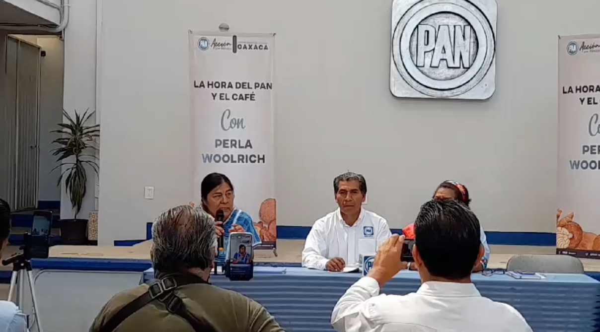 Femenismo e indigenismo: dos movimientos que han sido mal utilizados por parte de los partidos políticos