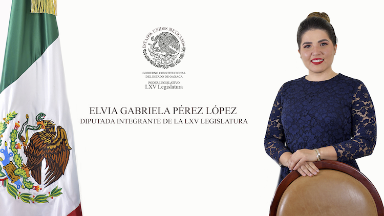 La oposición nos tiene miedo, afirma Gaby Pérez y rechaza su postulación por discapacidad