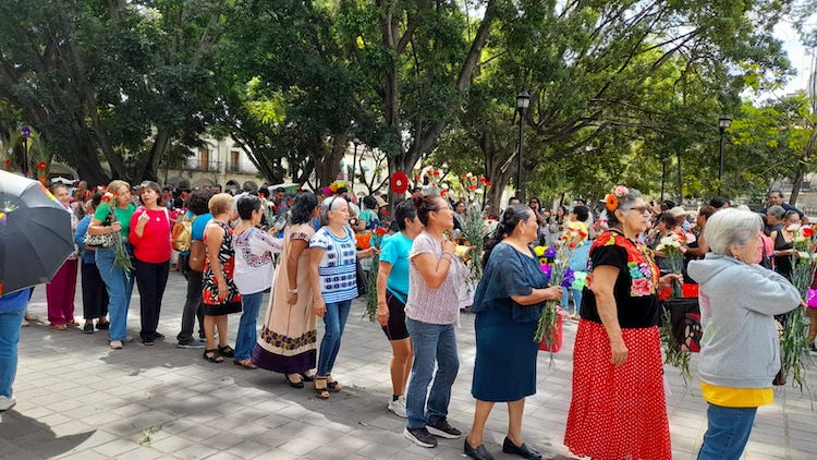 Realizan pensionistas Paseo Floral en el zócalo de Oaxaca