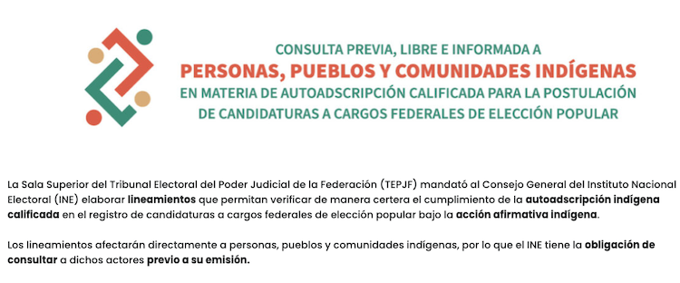 Califican de oportunistas y usurpadores a candidatos y candidatas que utilizan la identidad indígena para sus fines políticos