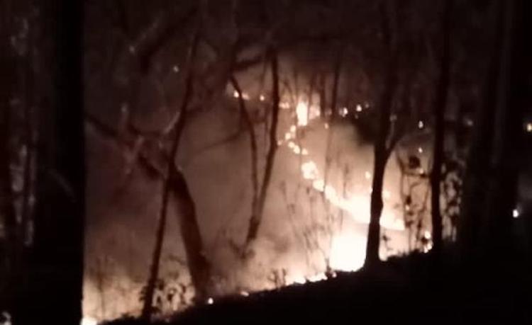 Incendio en Chimalapas lleva 18 días activo; consume 16 mil hectáreas de bosque