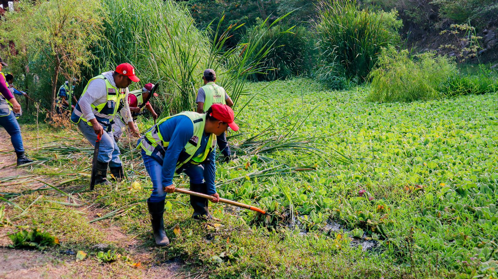 Ayuntamiento y Jurisdicción Sanitaria realizan deslame del río Las Nutrias para prevenir paludismo