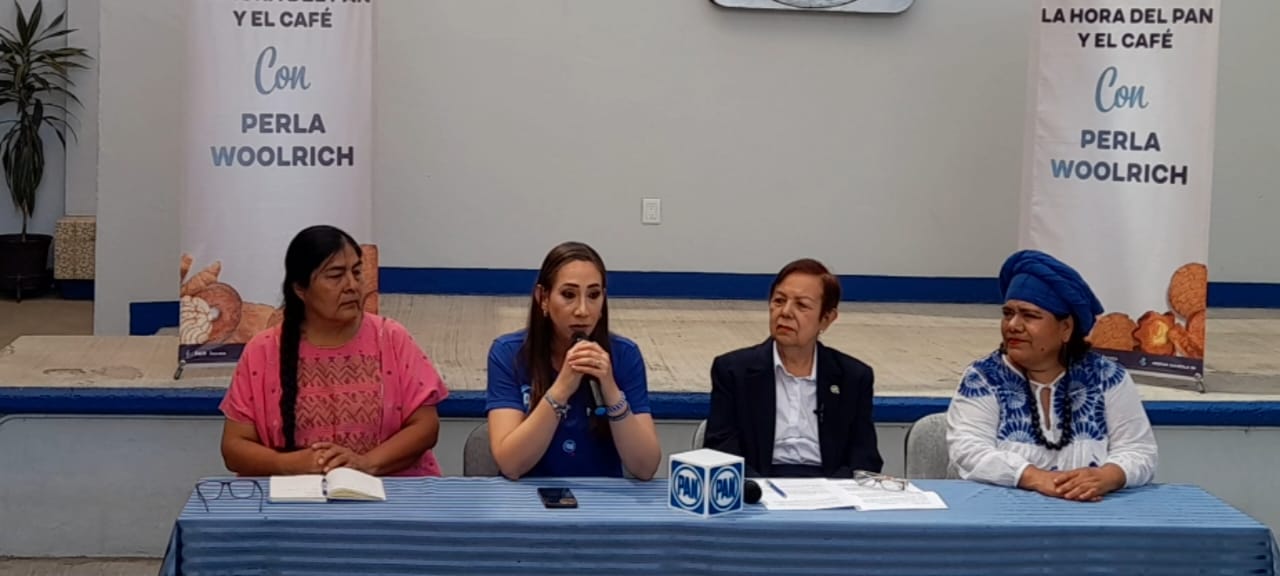 Es muy preocupante la inseguridad en México, pero debemos salir a votar: PAN
