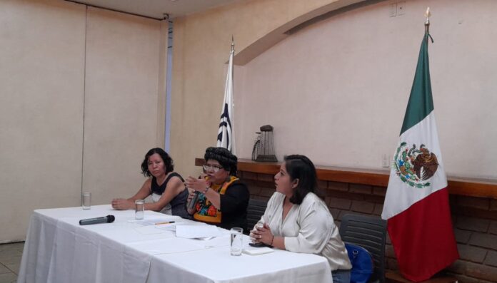 AMLO sigue violentando la Constitución: candidata del PAN al Senado