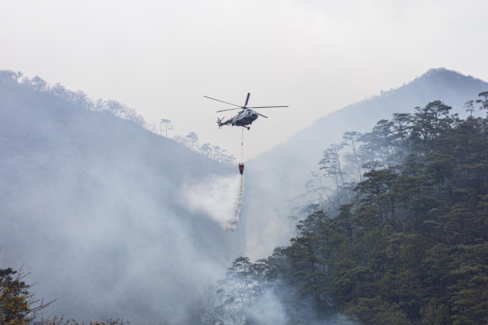 Prácticas agrícolas mal encauzadas originan el 94% de incendios forestales