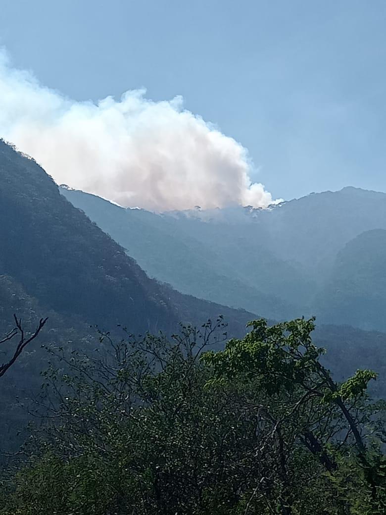 Por un gobierno omiso, Oaxaca arde: Incendios incontrolables