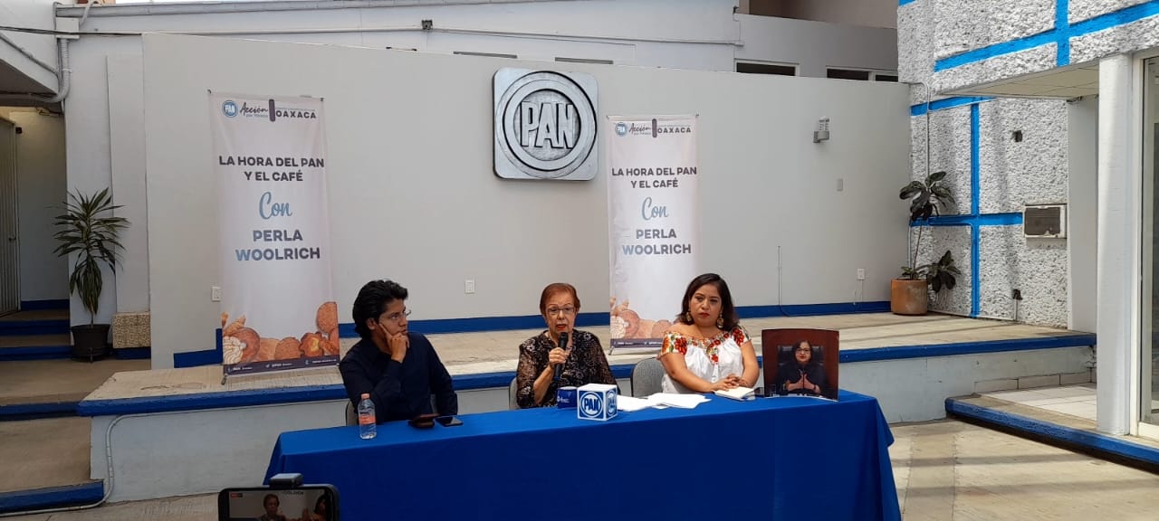 Perla Woolrich condena presunta desaparición de las Afores
