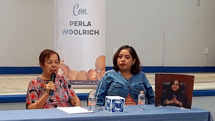 Es preocupante cómo gobiernan Jara y Neri: Perla Woorlich