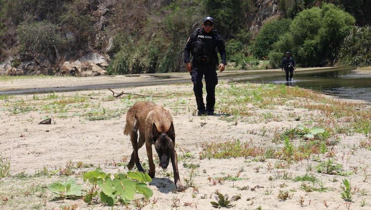 Desaparecen 7 hombres en la Costa oaxaqueña; fiscalía realiza búsqueda intensiva