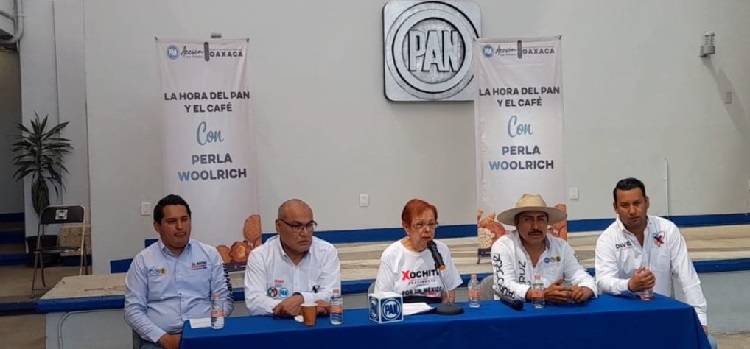 Oaxaca, uno de los estados más peligrosos para las elecciones: Woolrich