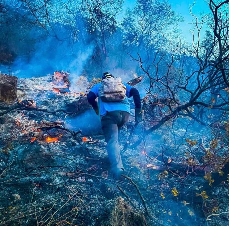 “Es necesario declarar zona de emergencia en Mitla”; 10 mil hectáreas perdidas
