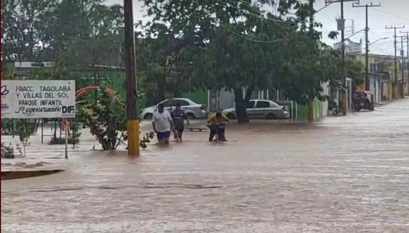 Inundaciones, caída de árboles y suspensión de clases por Tormenta Chris en Oaxaca
